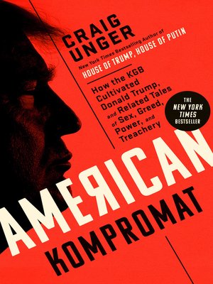 American Kompromat - ebook